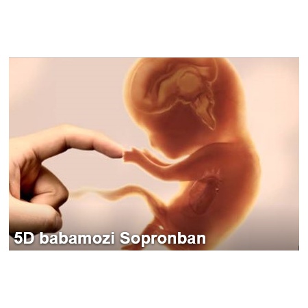Wabi Klinika 5D Ultrahang Rendelő